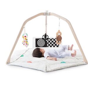Lovevery Baby Play Gym - Multicolor